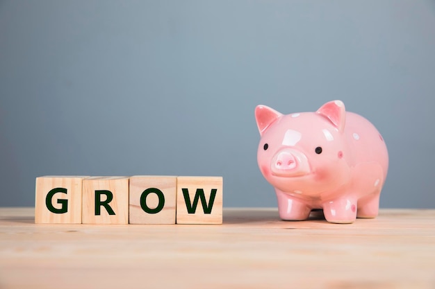 The inscription GROW on cubes and a piggy bank