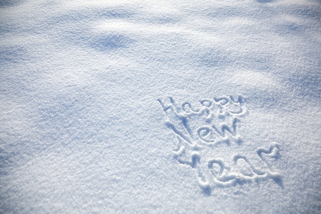 Inscription Happy New Year on snowy winter background