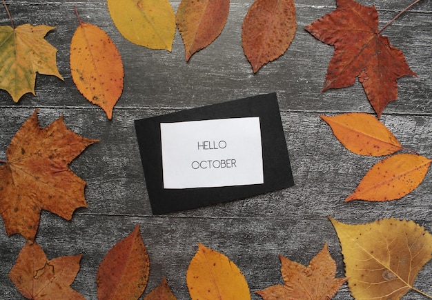 Надпись Hello October на деревянном фоне с рамкой из оранжевых кленовых листьев