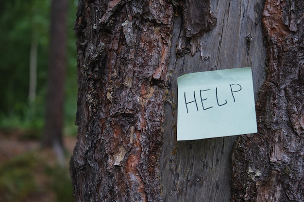 Inscription HELP on a green sticker glued to an old tree in the forest. get lost in the woods, help those lost in woods