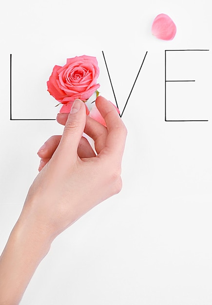 Inscription love with pink rose and hand on white background