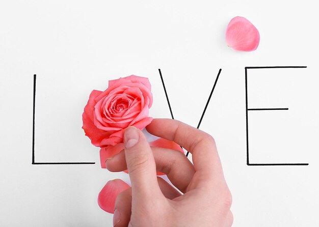 Inscription love with pink rose and hand on white background