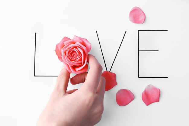 Foto iscrizione amore con rosa rosa e mano su sfondo bianco