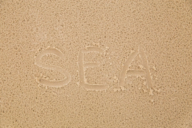 Photo inscription sea on the seashore after the rain