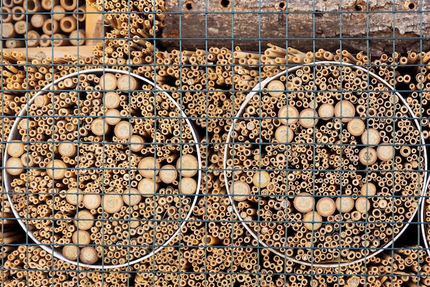 Insect Hotel or Insects House Close up