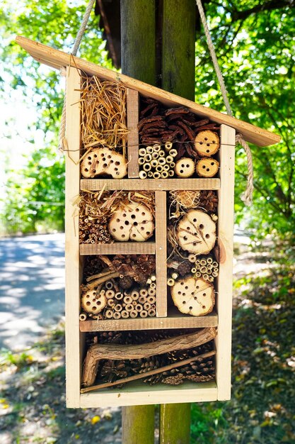 Insect hotel wooden insect house hanging from tree