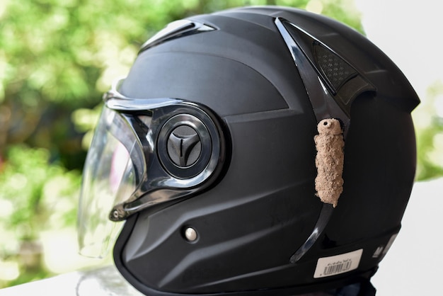 Фото Гнездо насекомых на черном шлеме