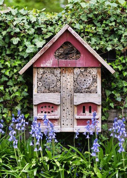 春のカントリーガーデンのツタに覆われた壁と青いブルーベルの花にぶら下がっている昆虫や虫のホテル