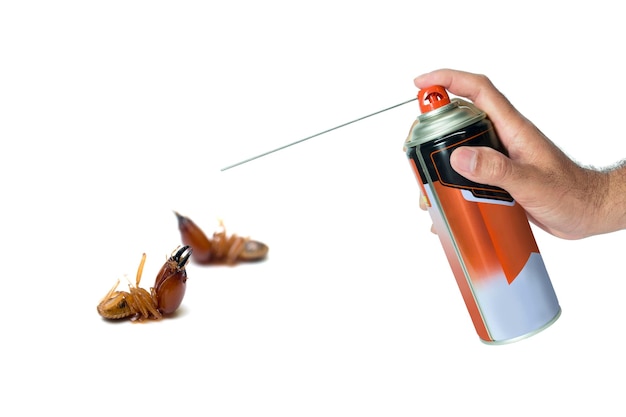 Spray repellente per insetti nella mano di uomini e termiti morte isolate su sfondo bianco
