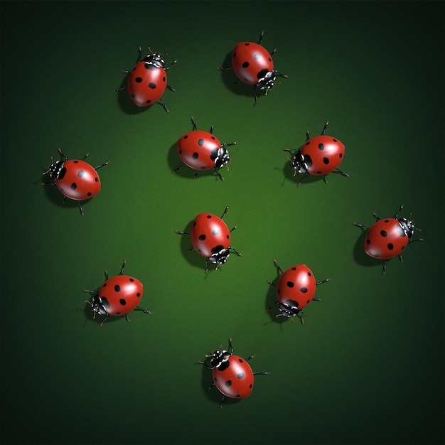 Insects are ladybugs 3d illustration