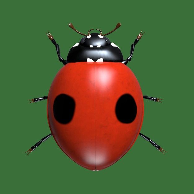 Insects are ladybugs 3d illustration