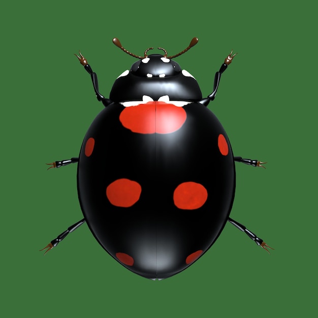 Insects are ladybugs 3d illustration