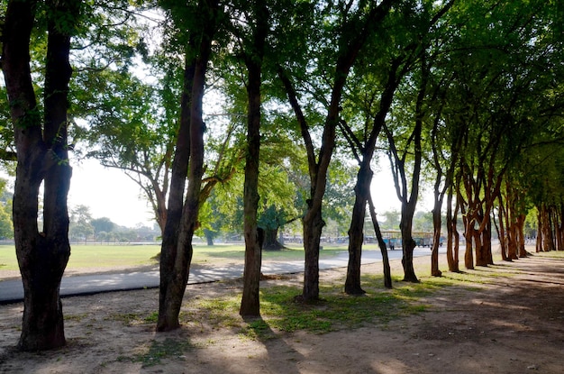 Inside of Historic Town of Sukhothai and Associated Historic Towns at morning time in Sukhothai Thailand