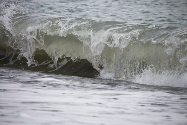 Foto all'interno di hollow ocean wave onda oceanica pulita che si solleva e si schianta verso banchi di sabbia poco profondi