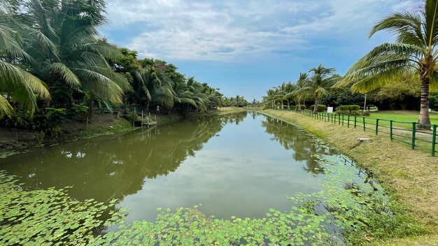 Inside view of Eco Park located at Kolkata West Bengal India