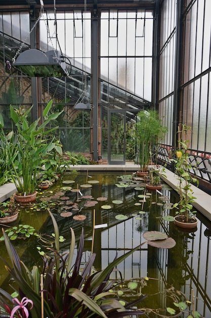 Inside view of the greenhouse of a botanical garden.