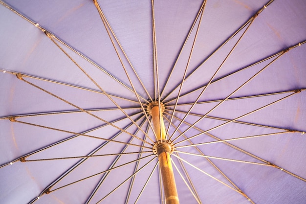 inside violet umbrella