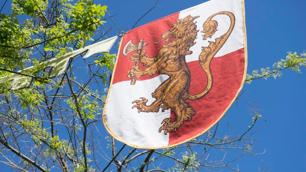 insignia, medieval coats of arms in a traditional ancient art fair in Madrid, Spain