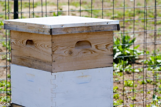 Photo installation of bee hives at new location.