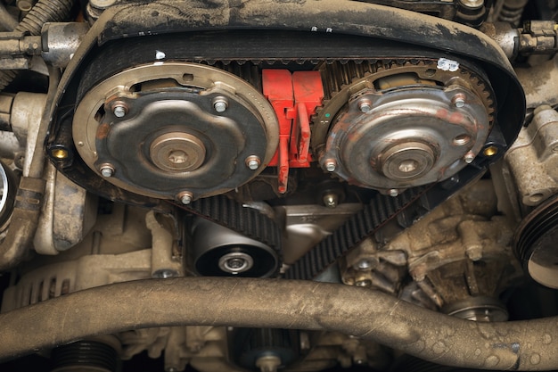 Installed new timing belt on camshafts, close-up