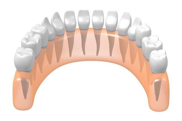 Foto instellen als gezonde menselijke tanden in tandvlees 3d illustratie