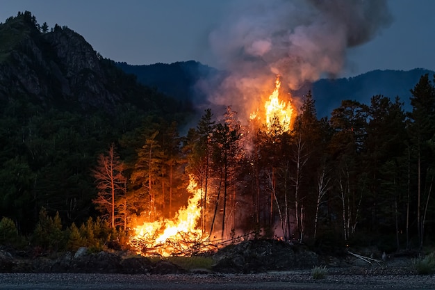 Photo intense flames from a massive forest fire at night.