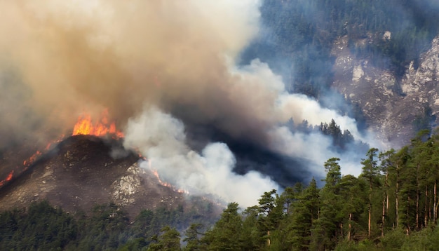 Intense forest fire raging through trees billowing smoke against a fiery backdrop symbolizing natu