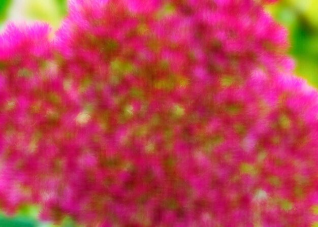 꽃의 재미있는 배경을 흐리게 화려한 배경 BlurredxA