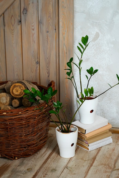 Foto interieur kamerinrichting met potplanten