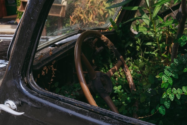 Interieur van een door de natuur genomen auto, van buitenaf gezien door het raam van de bestuurder