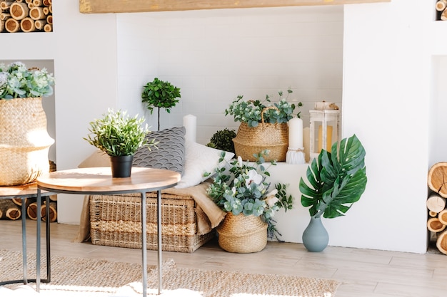 Interior of bright living room in scandinavian style with coffee table and plants.