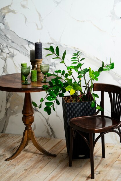 Interior decor with potted plant on wooden table