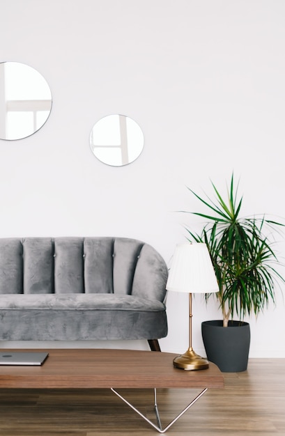 Interior design of modern living room with grey sofa, coffee table and palm tree on a pot.