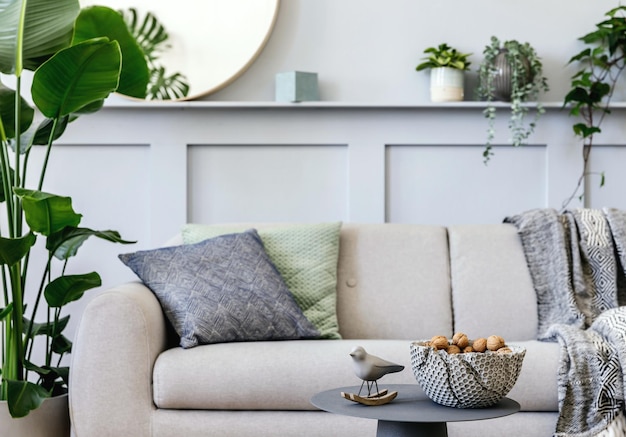 Photo interior design of scandinavian living room with stylish grey sofa coffee table tropical plant mirror decoration pillows plaid and elegant personal accessories in modern home decor