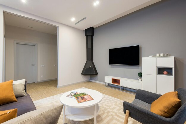 interior design for spacious urban apartments