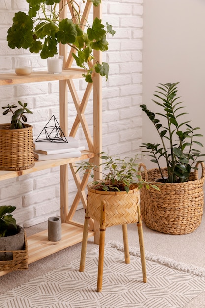 Photo interior design with green plants