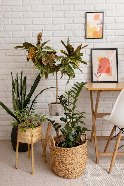 Photo interior design with photoframes and plants high angle