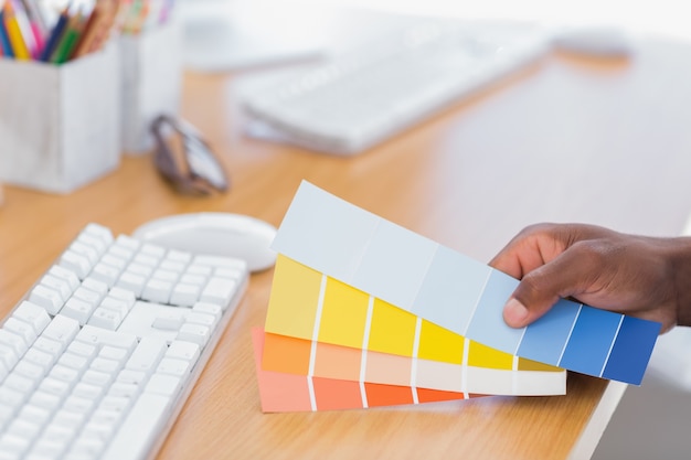 Interior designer holding colour charts 