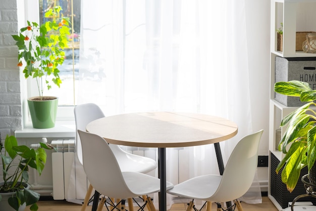 The interior of the house with large windows and home plants round table chairs white loft minimalism white curtain