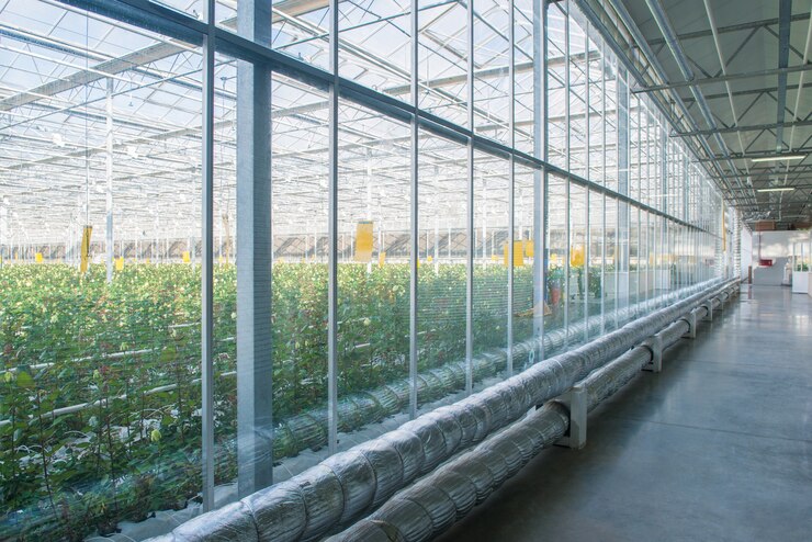 Photo interior of industrial greenhouse with glass wall and tubes, pipeline