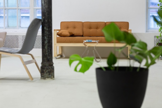 Interior of a living room with plant