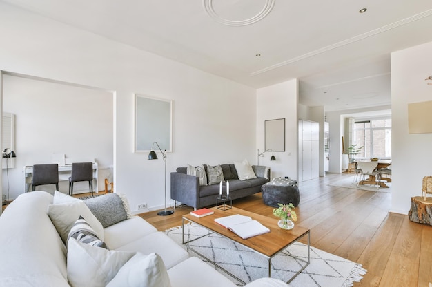 Interior of minimalist style living room