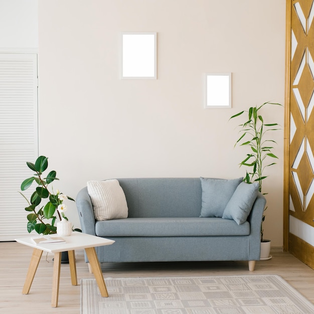 the interior of a modern living room in bright colors sofa with pillows coffee table ficus