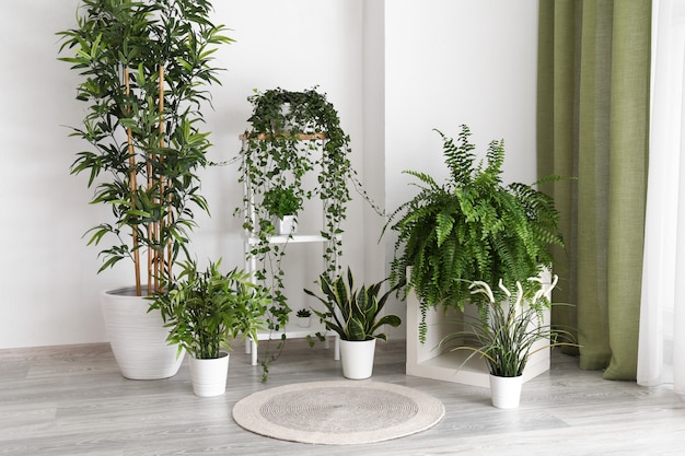 Interior of modern room with green houseplants