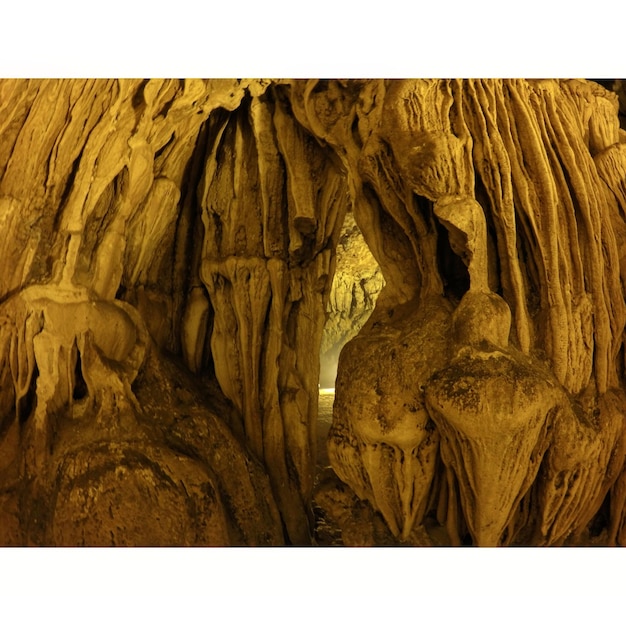 사진 동굴 내부