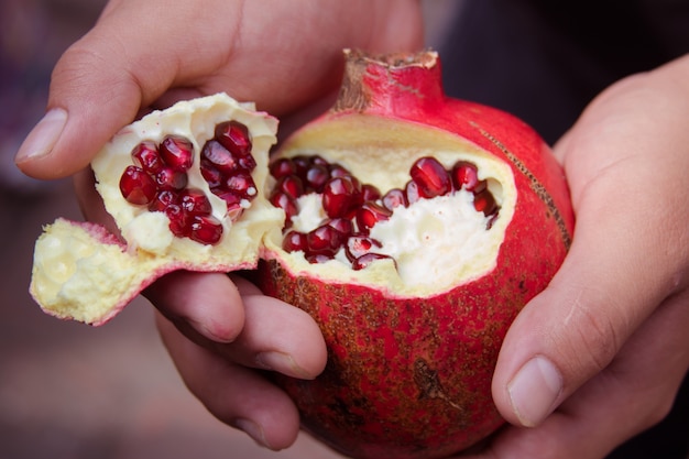 Photo interior of a pomegranate in hands