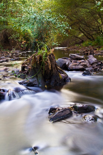 Interior river