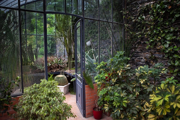 Interior of a stylish vintage greenhouse