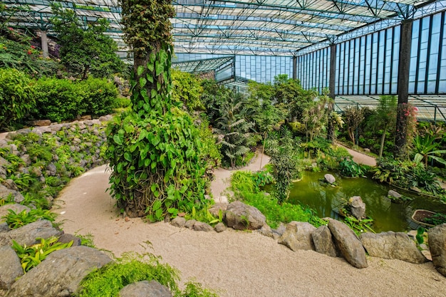 Interior view of the cold house Estufa Fria greenhouse with exotic plants and trees Lisbon Portugal