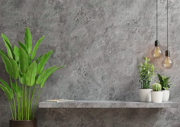 Interior wall with green plant,Cement wall and shelf